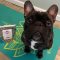 cooper-and-sophies-kitchen-testimonials-443