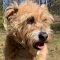 cooper-and-sophies-kitchen-testimonials-megan